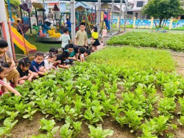 VƯỜN RAU CỦA BÉ NHỮNG NGÀY CUỐI NĂM HỌC TẠI TRƯỜNG MẦM NON HOA MAI