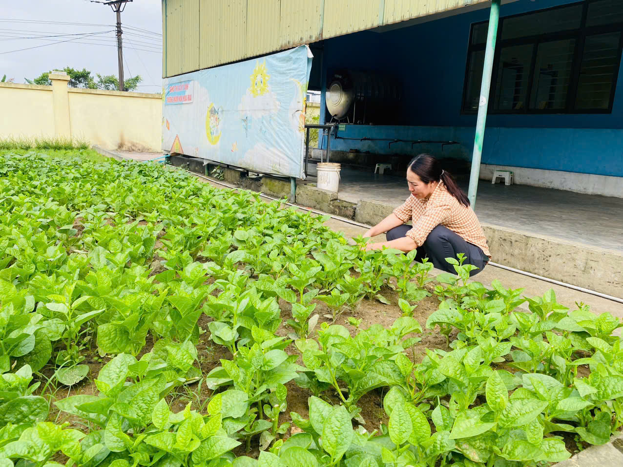 z6603024908022 30d69d18daff7174997943869e5218f1