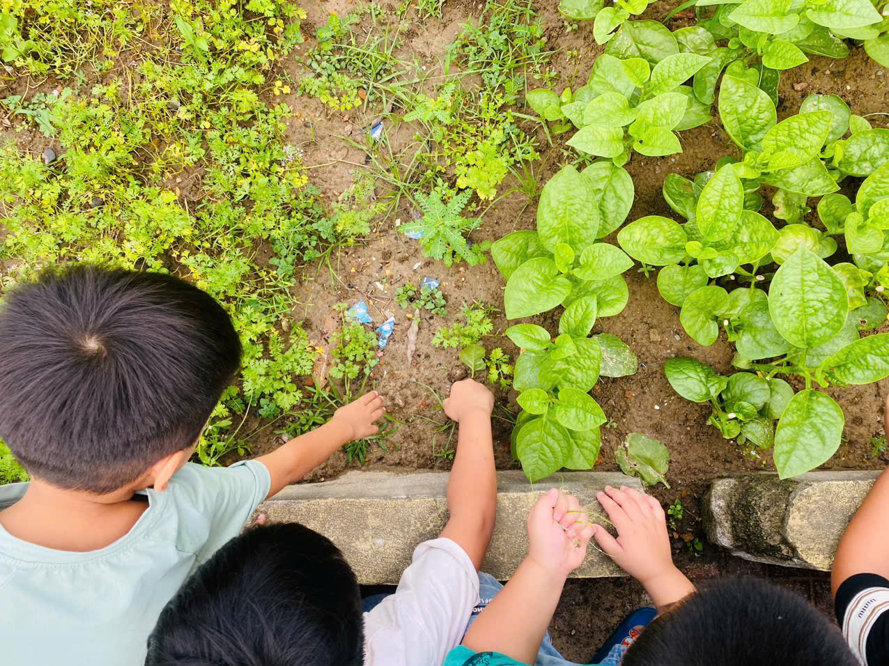 z6603024925882 953047bc968b503dbf3d45f20671cd4c