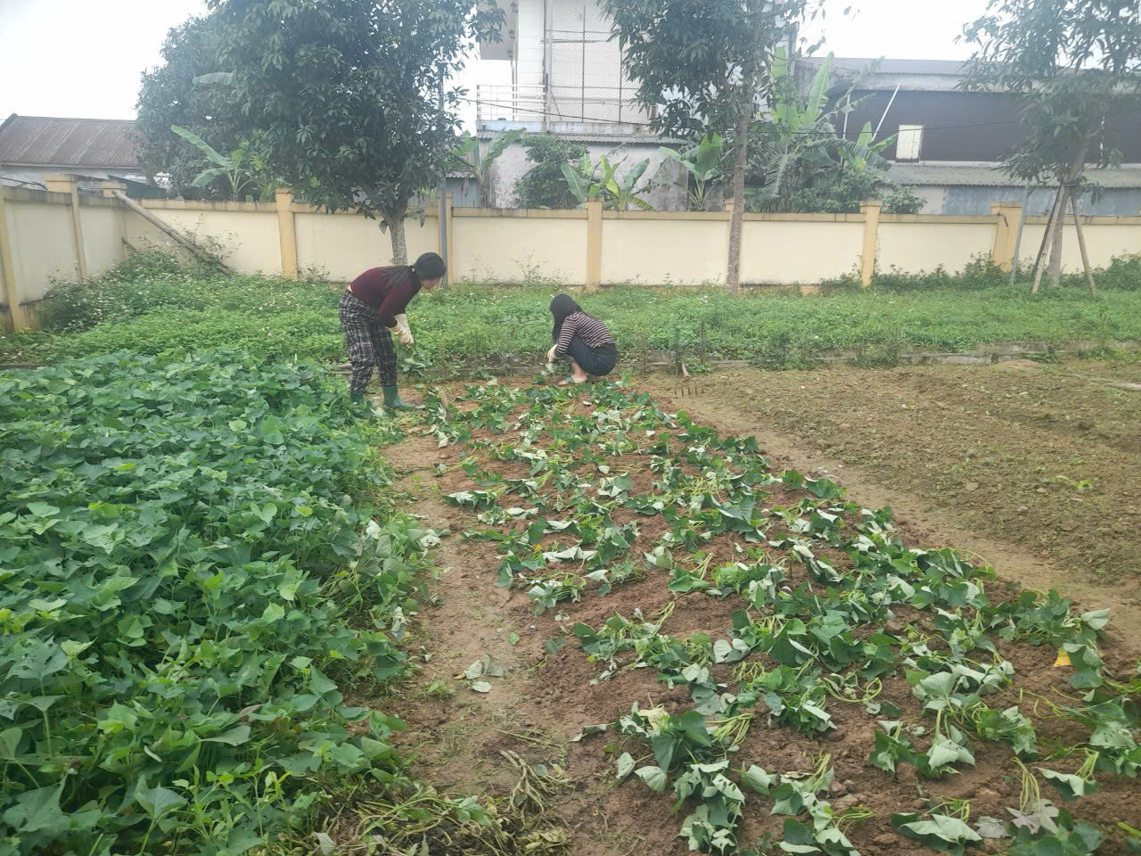 z6603051400672 bb8911a112638541f5764dca58e051dc