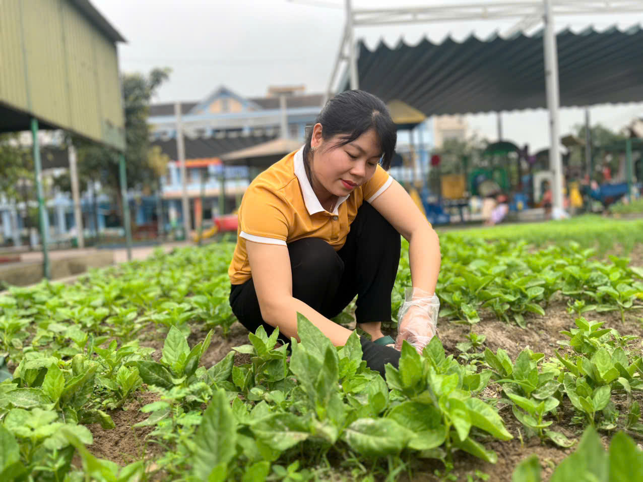 z6603051424716 4050eb12b2adcd99c157411432bec628